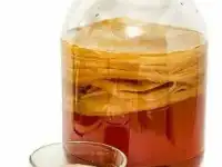 Чайный гриб
