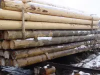 СЕНЕЖ ЕВРО-ТРАНС 60 кг, фотография 2