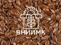 Семена масличного льна ВНИИМК сорт Бирюза