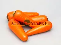 Морковь абако f1 2,0-2,2 (1 000 000 семян) seminis, фотография 2