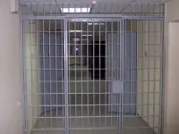 Дверные решетки по размерам заказчика., фотография 9