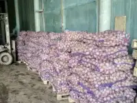 Картофель оптом из Татарстана напрямую со склада КФХозяйства
