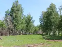 Красивый участок площадью 6,5 соток под ИЖС в посёлке Петровский!!!