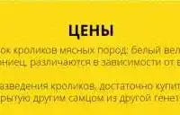 Кролики на разведение, фотография 4