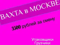 Упаковщик