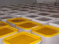 Мёд оптом напрямую со своей пасеки