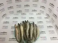 Корюшка средняя: 15-17 см (блок 11 кг), фотография 2