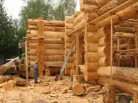 Срубы из кедра ручной рубки большие диаметры, фотография 2