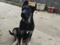 Продам ВЕО.