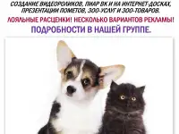 Помощь в продаже щенков и котят