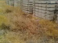 Плиты аэродромные ПАГ-18 