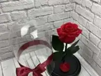 Роза в колбе