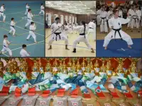 Открыт набор в секцию каратэ Фудокан., фотография 10