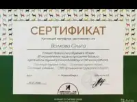 Стрижка собак и кошек / груминг собак и кошек, фотография 2