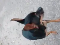 Ищем невесту