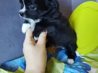 Людмила