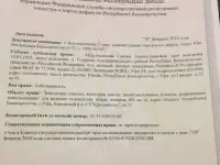 Продам сад, Д. Дудкино. Сад красный. Кировский район.