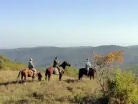 Конные маршруты в Краснодарском крае и Адыгее