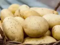 картофель домашний
