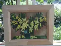 Картина Мимоза, цветы.