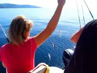 Морская рыбалка в Лоо, Сочи