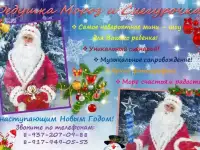 Дедушка Мороз и Снегурочка/Детский аниматор