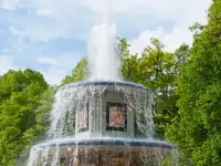 Такой удивительный Петергоф, фотография 12