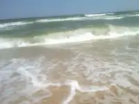 Отдых на море в Голубицкой