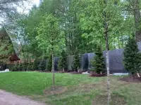 Уход за садом, благоустройство, фотография 2