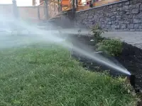 Продажа семян для газона