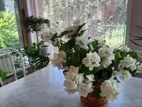Продам коттедж