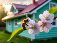 Перекрываем кровлю, обшиваем дома в Колышлейском районе