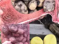 Картофель с доставкой