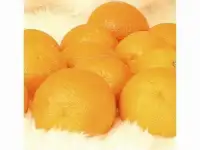 Изовол
