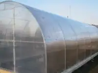 Продаются теплицы. Доставляем бесплатно