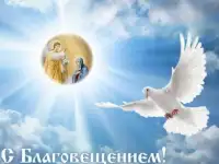 Заборы для Вас!