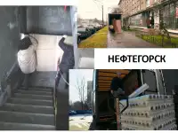 Грузчики такелажные работы, фотография 4