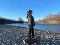 Отдам питбуля знающим породу людям