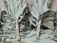 Банные веники из курильского бамбука