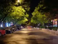 Юридические услуги для водителей в суде