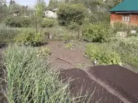 сад в д.Дудкино