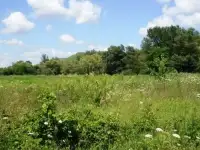 Продажа оздоровительного центра с залежами минеральный воды