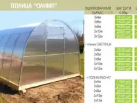 Теплицы из поликарбоната, фотография 4