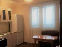 Квартира рядом с Клиникой В. А. Алмазова, Фермское шоссе 32, фотография 4