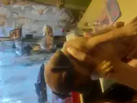 Собачка