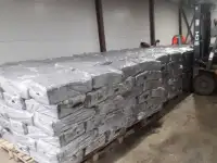 шампиньоны не компосте