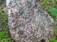 Глыба камень валун для ландшафтного дизайна, фотография 4