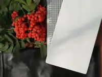 Садху доски с гвоздями, фотография 3