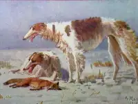 Редкая открытка. 