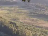 Куплю земельный участок в Станционном, пос.Станционный